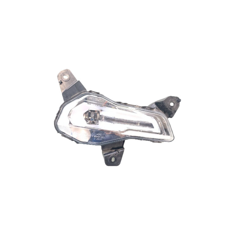 PROIETTORE FENDINEBBIA DX - DAF