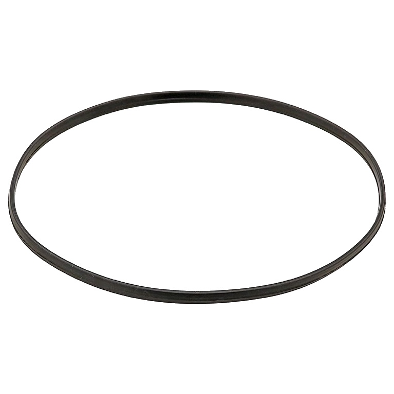 GUARNIZIONE per FILTRO BLOW